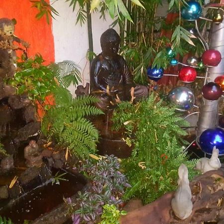فندق مدينة مكسيكوفي  Mi Aldea Holistica المظهر الخارجي الصورة