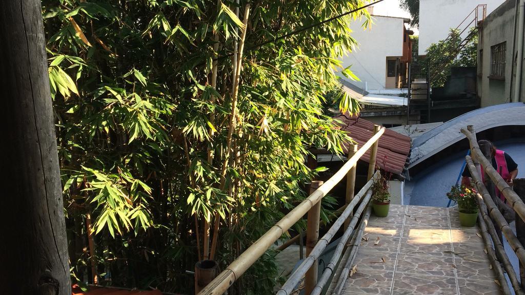 فندق مدينة مكسيكوفي  Mi Aldea Holistica المظهر الخارجي الصورة