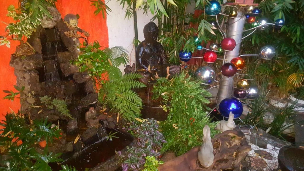 فندق مدينة مكسيكوفي  Mi Aldea Holistica المظهر الخارجي الصورة