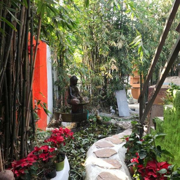 فندق مدينة مكسيكوفي  Mi Aldea Holistica المظهر الخارجي الصورة