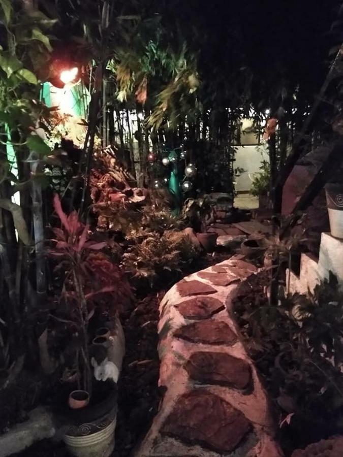 فندق مدينة مكسيكوفي  Mi Aldea Holistica المظهر الخارجي الصورة